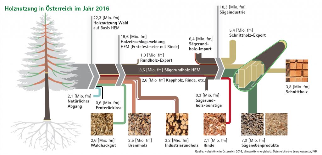 Nutzung von Holz in Österreich