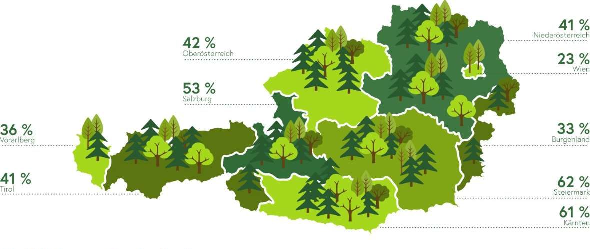 Wald Fläche pro Bundesland