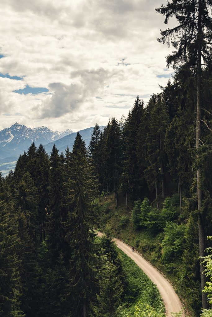Hackschnitzel kaufen aus regionalen Rohstoffen
